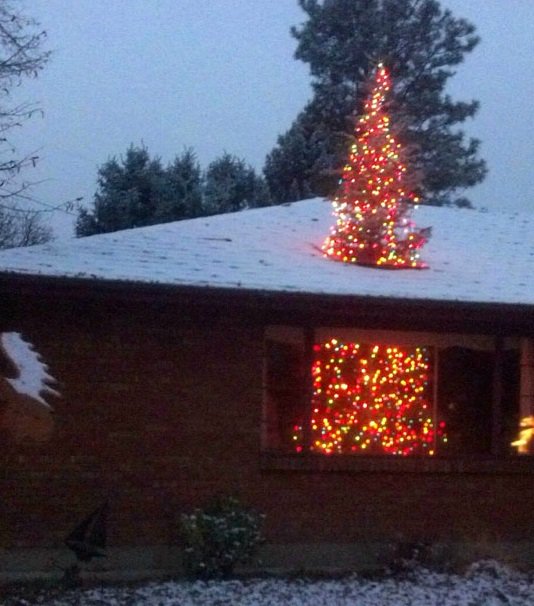 TheOnlineBM's tweet photo. When you love Christmas this much you're prepared to do ANYTHING to make the tree fit... 

Merry Christmas everyone! https://t.co/Sjc4s12PKs