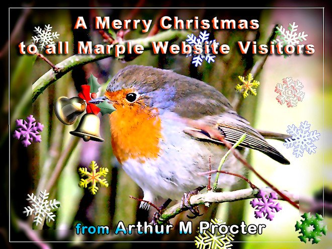 marplewebsite's tweet photo. Merry Christmas everyone in  #Marple #MarpleBridge #Compstall #Mellor #HighLane #Strines #MillBrow #Ludworth enjoy your festive celebrations! https://t.co/u6R7rMjX3i https://t.co/bSxMxIfiY0