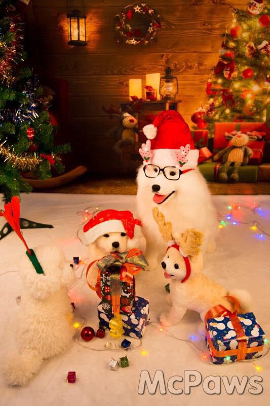 EllenPaws's tweet photo. Merry Christmas #McPaws #lovelydoggy #plush toy#merrychristmas #cutedogs #doggy https://t.co/YXlUPh4VqR