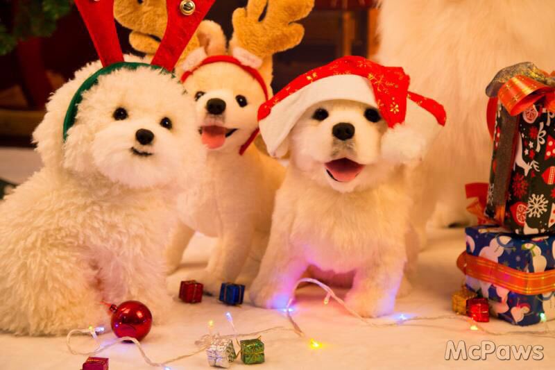 EllenPaws's tweet photo. Merry Christmas #McPaws #lovelydoggy #plush toy#merrychristmas #cutedogs #doggy https://t.co/5a2wOUI9yk