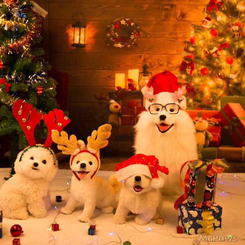 EllenPaws's tweet photo. Merry Christmas #McPaws #lovelydoggy #plush toy#merrychristmas #cutedogs #doggy https://t.co/7nq58dGArv