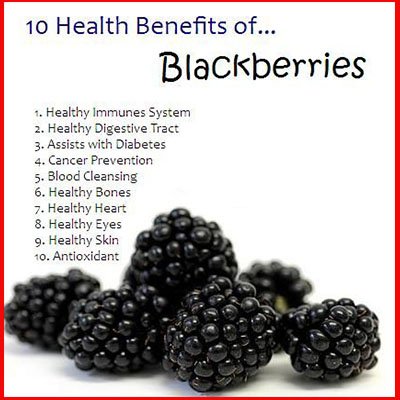 TestyRecipes007's tweet photo. Health Benefits of Blackberries
https://t.co/uqpFGt4ceZ
#tasty #tastywaytenerife #tastybrew #TastyLittleInfo #tastyfoodypics #tastybistro #TastyEdge #tastysunday #tastytokri #tastylunch #tastynutrition #tastydiet #tastyezo #tastytaiga #TastyNetwork #tastycoffee #tastyphoto https://t.co/DTf2eKRBMd
