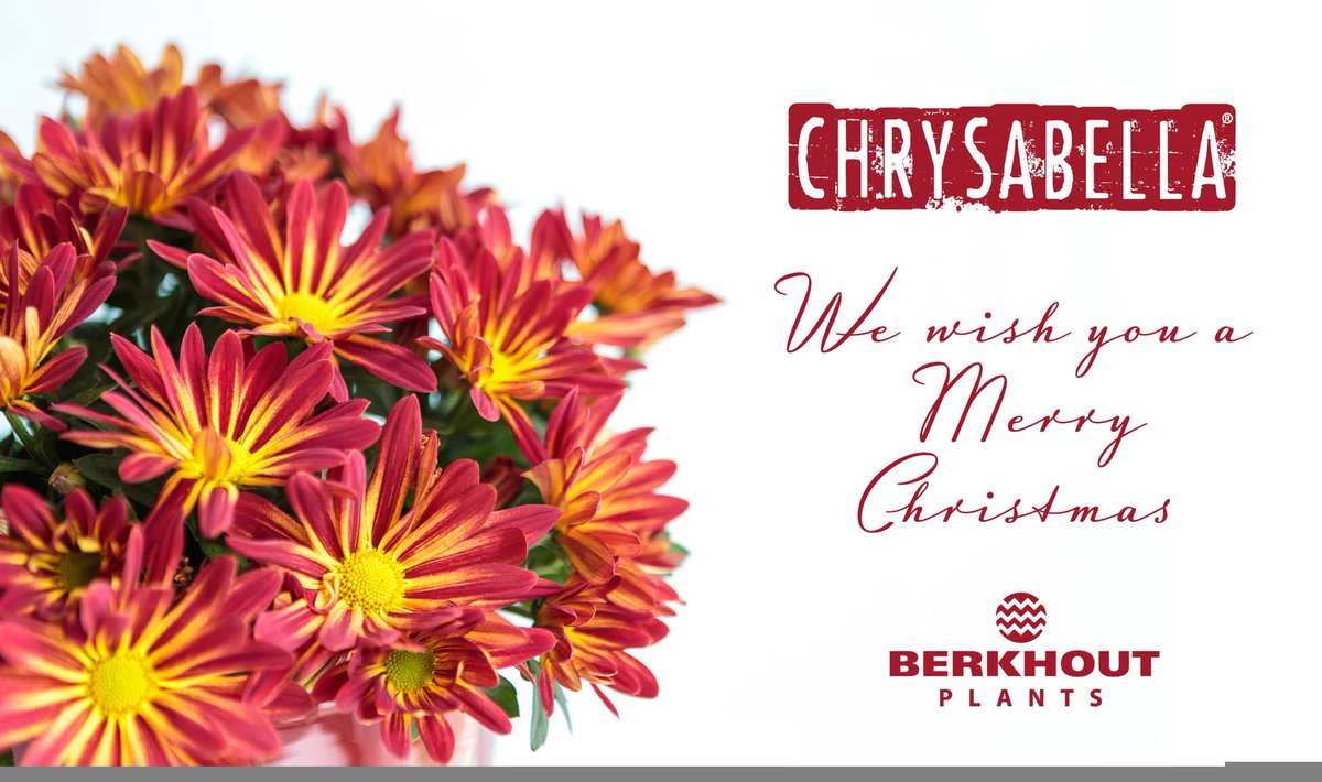 berkhoutplants's tweet photo. https://t.co/ezwckmTG6N