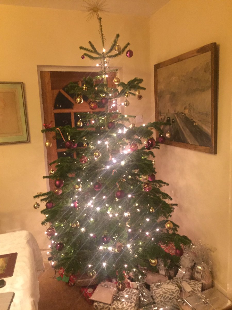 StudentEquest's tweet image. Merry Christmas and a very Happy New Year to all! 🎄