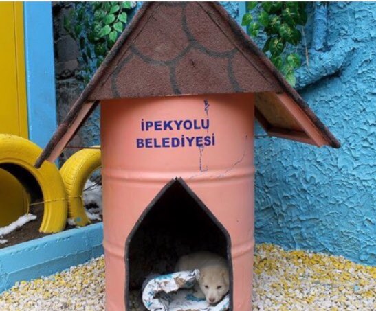 empati_official's tweet photo. #Van #Ipekyolu Bekediyesine bu duyarli davranisi icin cok tesekkür ederiz ve diger belediyelere örnek olmasini dileriz https://t.co/BVJ9NTvSh5