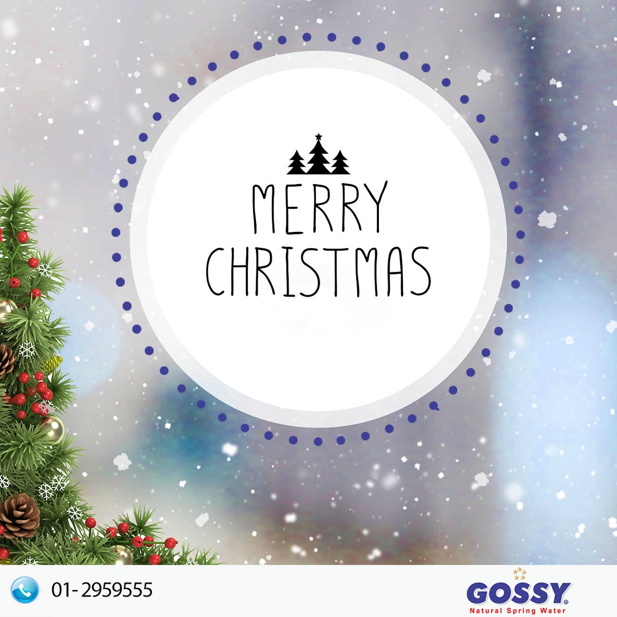 GOSSYWATERS's tweet photo. Have a happy and hydrated holiday! Season Greetings from Gossy Water! https://t.co/t8MVzwSYcg