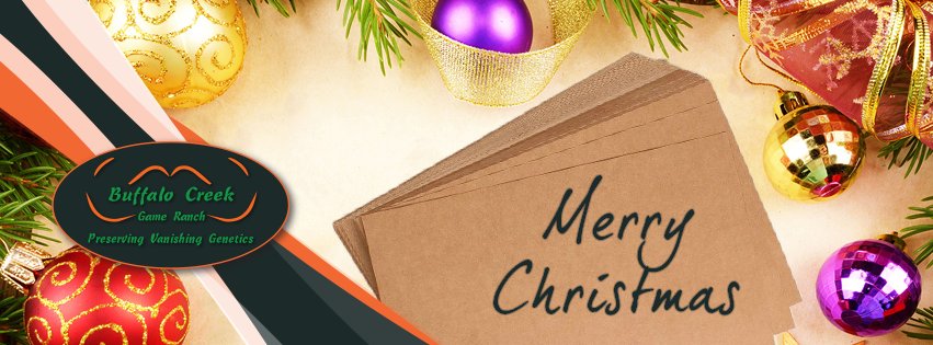 buffalocreekSA's tweet photo. May the magic of Christmas conspire to gladden your heart and fill every desire.
Merry Christmas!
#BuffaloCreekGameRanch #WildlifeLegacy #GameBreeding https://t.co/1kKnTJJA8n