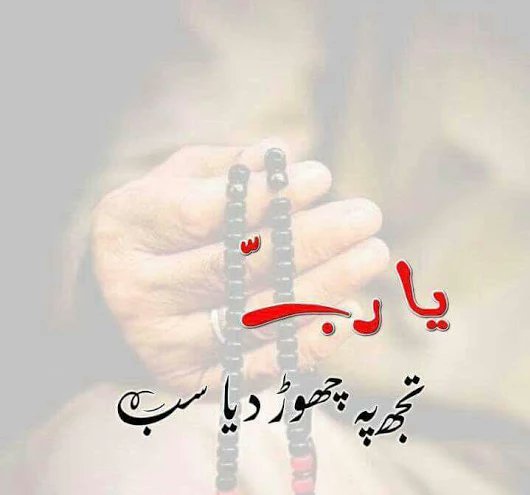Khalid Kayani (@khalidkayani14) on Twitter photo 
