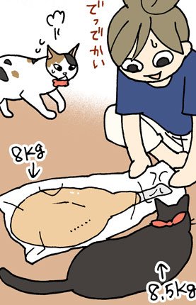 1月26日、レタスクラブで連載していた「お酒のお時間です」が書籍になって発売です。
生ハム原木を買った話、酒飲みのルーツの話、酒の失敗談など描き下ろしもたくさんあります(まじで)ので、どうぞよろしくお願い致します!(4枚目は変態行為をはたらいているわけではない)