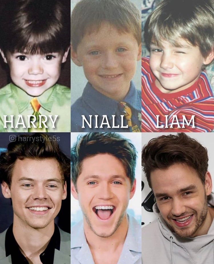 1Direectioners's tweet photo. Au, senti o impacto, vamos chorar pq hidrata https://t.co/4DRfSfyVU7