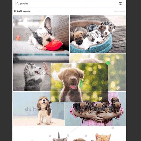 Shutterstock.JP tweet media