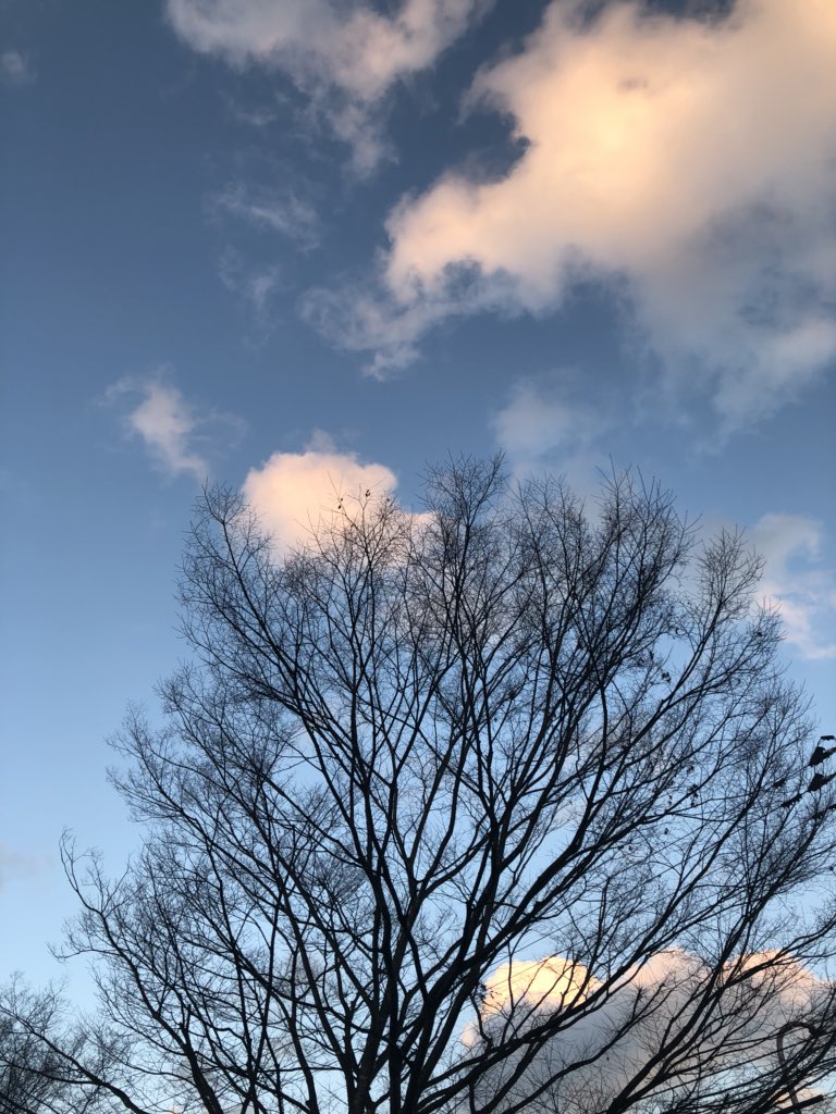 暮らナチュ やっと自分のこと あれれ 泣いてばかりいるうち あれれ 目の下しわしわだよぉ あれれ 髪の毛白いものだよぉ カットカラーと頭皮マッサージ 地元の美容室大好きあきちゃん やさしくほぐしてくれて感謝 子平町ミチ美容室 おいでよ宮城