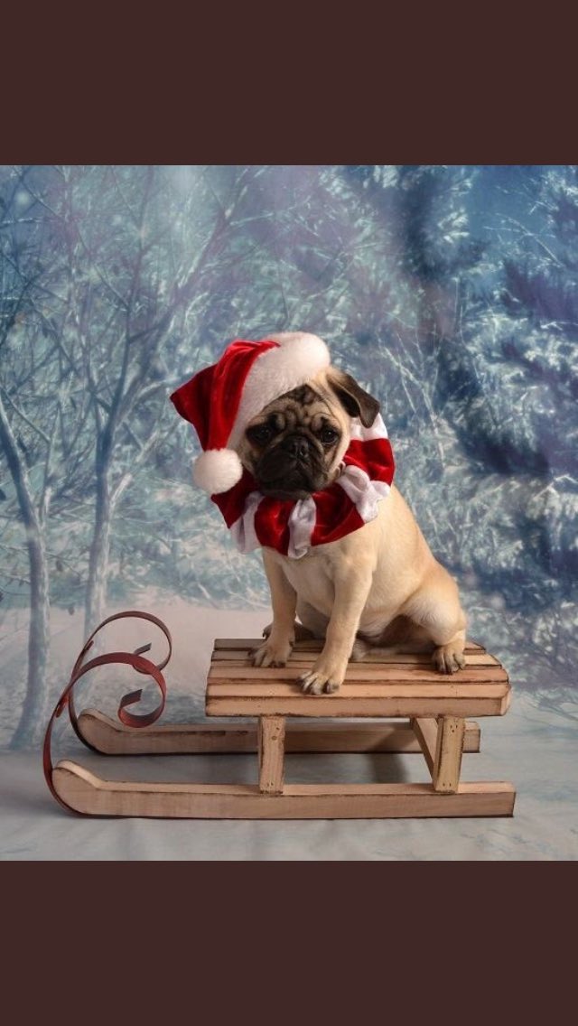 Merry Christmas to all.
Love lots- eat well- creating memories.🎄#holidays              Back Open 27th 9am-7pm