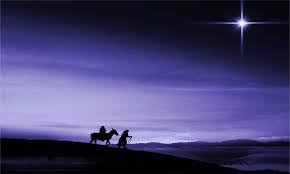 Harm Mannak tweet media