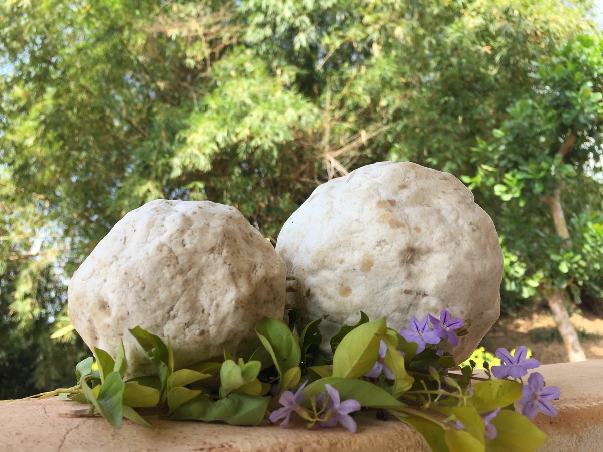 Ebony_Directory's tweet photo. Excited to share the latest addition to my #etsy shop: Natural Cocoa Soap From Africa https://t.co/9gE6qgDh9u #bathandbeauty #soap #ebonyskincare https://t.co/Ekj7dtzNRN