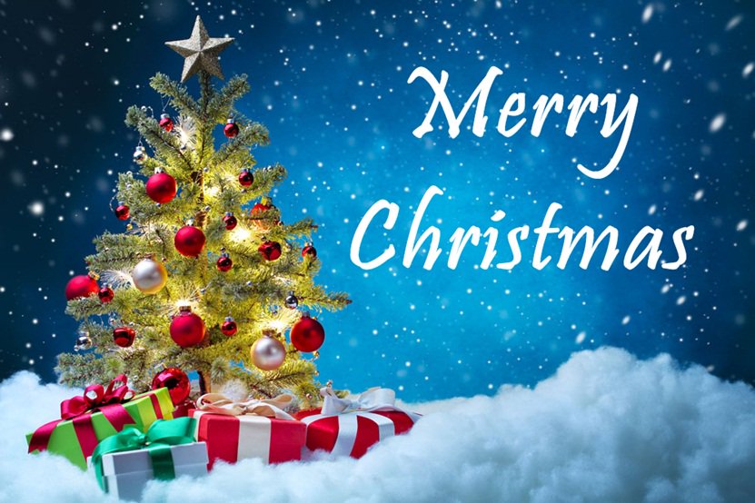 Wishing all our guests old and new a very merry Christmas!