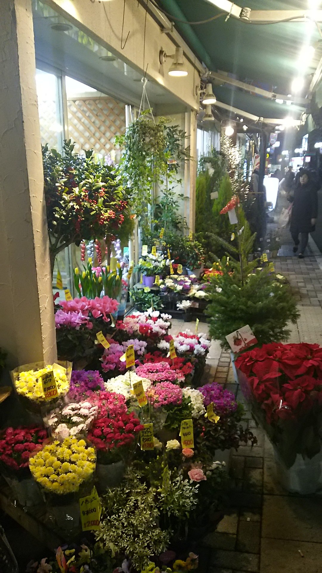 Follow 代々木上原 青山の花市場 S Air Latest Tweets Twitter