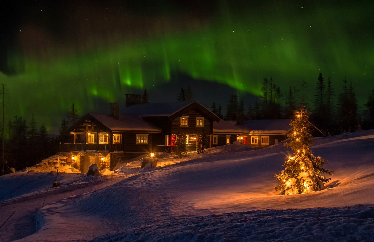 HoganSOG's tweet photo. Northern Lights on this Wintery Christmas Norwegian Night. https://t.co/VtVr1cFhoC
