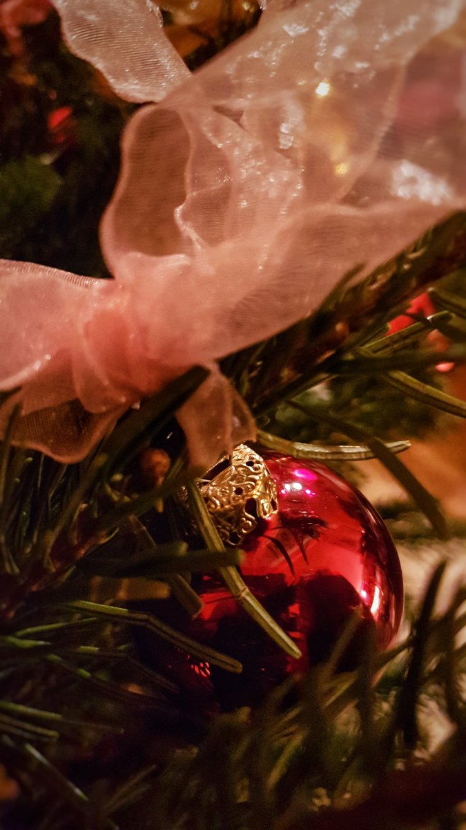 britishberliner's tweet photo. #Portraits of our #christmastree in #Germany! As a #BritishGerman #family, we mix our #Christmastraditions in order to #makeChristmas as #British & #German as possible! Frohe Weihnachten! #images #christmas #Christmas2017 #FroheWeihnachten #Weihnachten https://t.co/ax6IN9H4W8