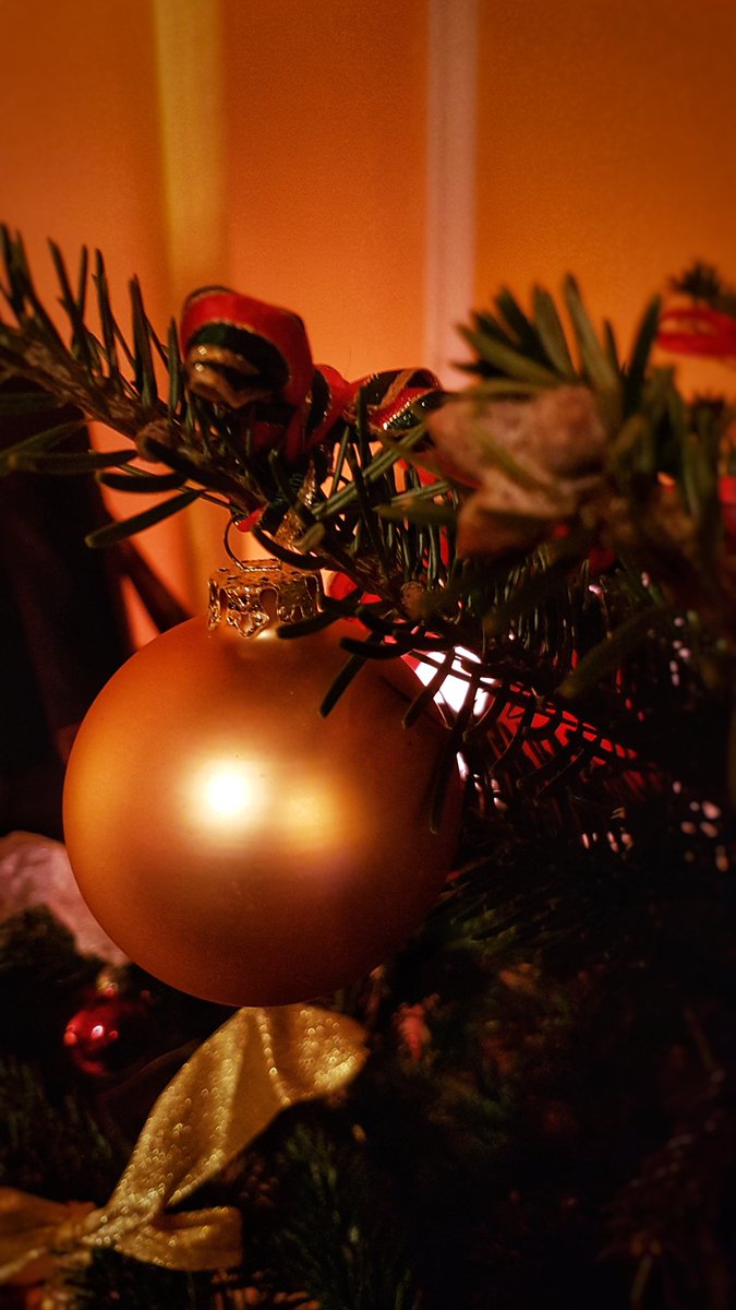 britishberliner's tweet photo. #Portraits of our #christmastree in #Germany! As a #BritishGerman #family, we mix our #Christmastraditions in order to #makeChristmas as #British & #German as possible! Frohe Weihnachten! #images #christmas #Christmas2017 #FroheWeihnachten #Weihnachten https://t.co/ax6IN9H4W8