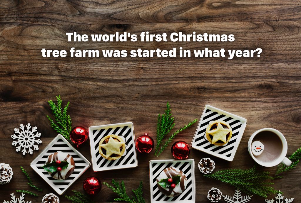 CouchQuiz's tweet photo. The world's first Christmas tree farm was started in what year? 

Download CouchQuiz on Apple TV to test your Christmas trivia, compete with friends and family from your own iPhone, Android or other devices. https://t.co/CkMek5nzQR
