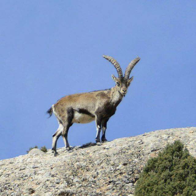 Pili Rius tweet media