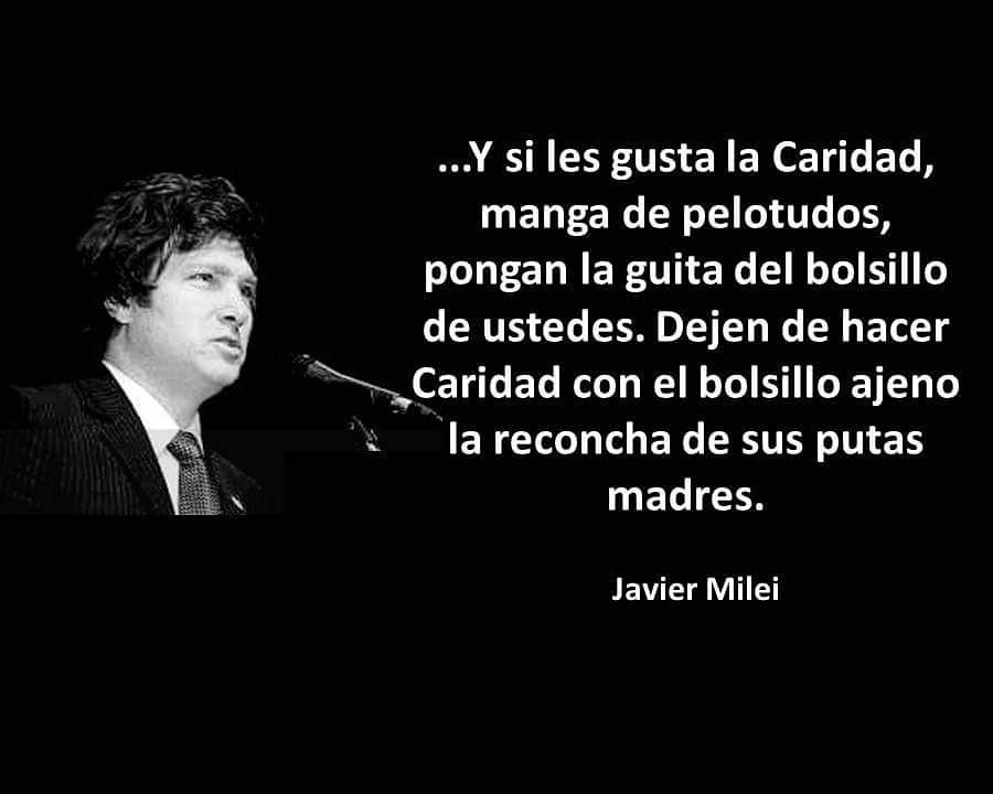 Resultado de imagen para interes milei javier