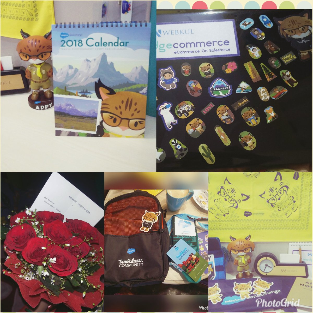 NansiKela's tweet photo. lot's of surprises, Gifts, Happiness π Special thanks to @appexchange @salesforce #DFGG17 @trailhead #SecretSanta and my Salesforce Team #webkulsalesforceteam @imFaizyKhan @DynamicAjit @Yathansh_sharma @jaiswa @wedgecommerce @Aakanksha292 https://t.co/qKaWFkAv23