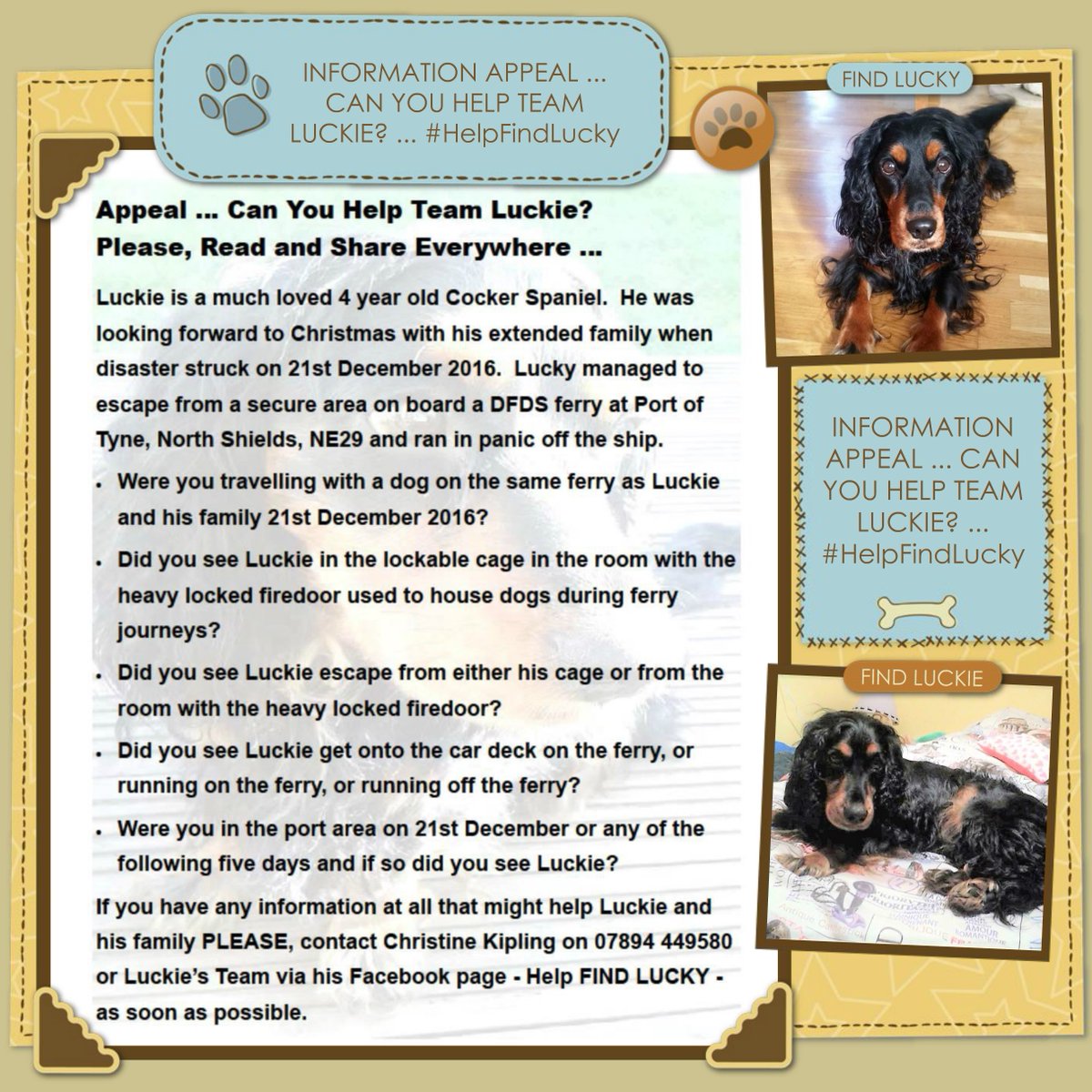 HelpFindLucky's tweet photo. My #ChristmasWish for Luckie & his family ... 💞🐕👨👨👧👦💞
🌟Star Light, 🌟Star Bright
First star🌟 I see tonight🌌
I wish I may, I wish I might
Find my way home💞🐾🐕🏡💞
This #ChristmasNight🎄🌌🎄
PLEASE #SpareAShare RT #HelpFindLucky
FB group▶https://t.co/UxJU6IhU2V https://t.co/oGSz9hkq7v