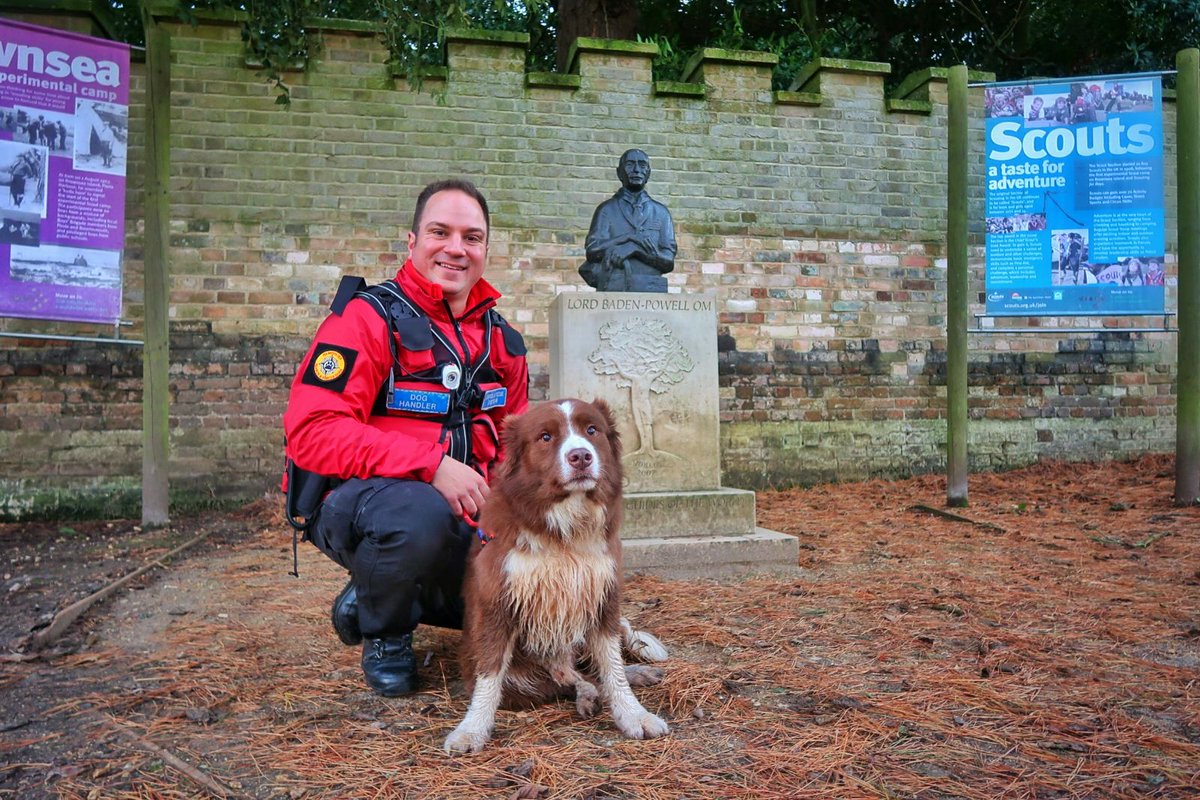 Search Dogs Zak & Rusty tweet media