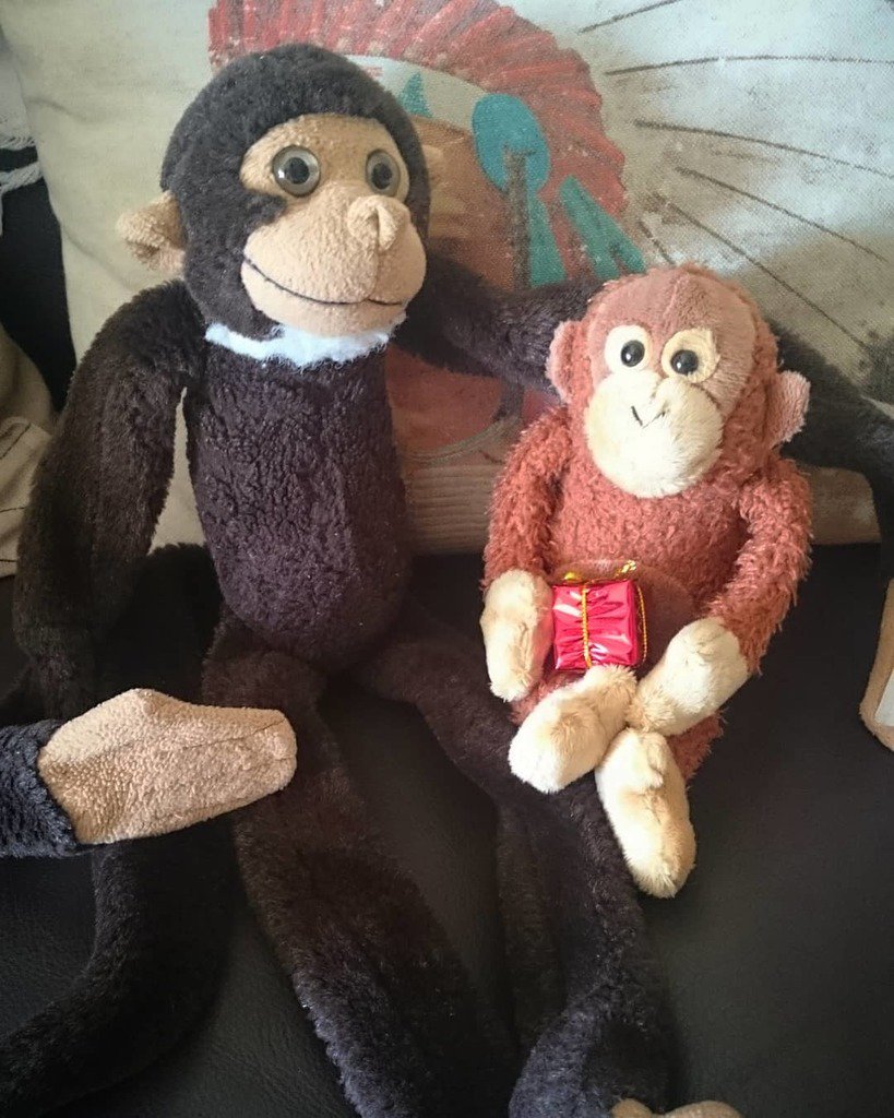 RufusTheMonkey's tweet photo. #MerryChristmas from #RufusTheMonkey and #VincentTheCousin!!! ๐ ๐ ๐
.
.
.
#rufus #stuffies #stuffedanimals #stuffiesofinstagram #Imamonkey #teddy #monkey #peluche #ใฌใใใใฟ #plushies #plushie #plushiesofinstagram #toy #toys #toyphotographie #toysofiโฆ https://t.co/nyDPrF6McC https://t.co/2ksYQRKryh