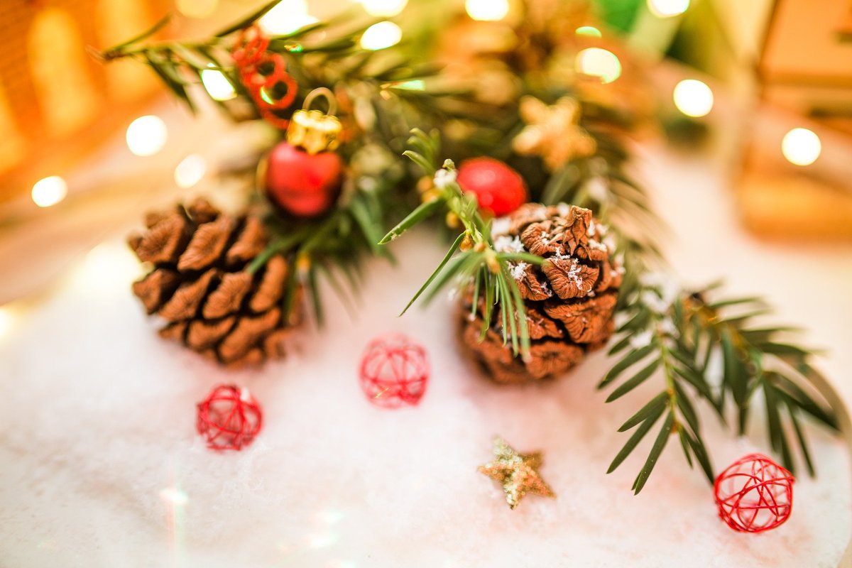 rahnottingham's tweet photo. We wish our lovely Clients, CareGivers and their loved ones a very #MerryChristmas! https://t.co/i1eKTCdgRC