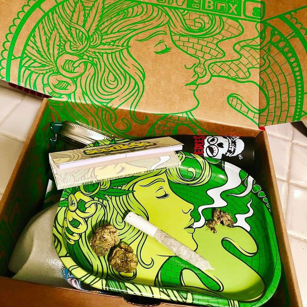 seedleSsmadneSs's tweet photo. Twas the night before Christmas and all through the house not a creature was stirring not even a mouse ... so I cracked open the @seedleSsbox and smoked myself out.  #realtalk #justhappened #happyholiblaze https://t.co/6LUMFllmIC https://t.co/U8AUIqwXC3