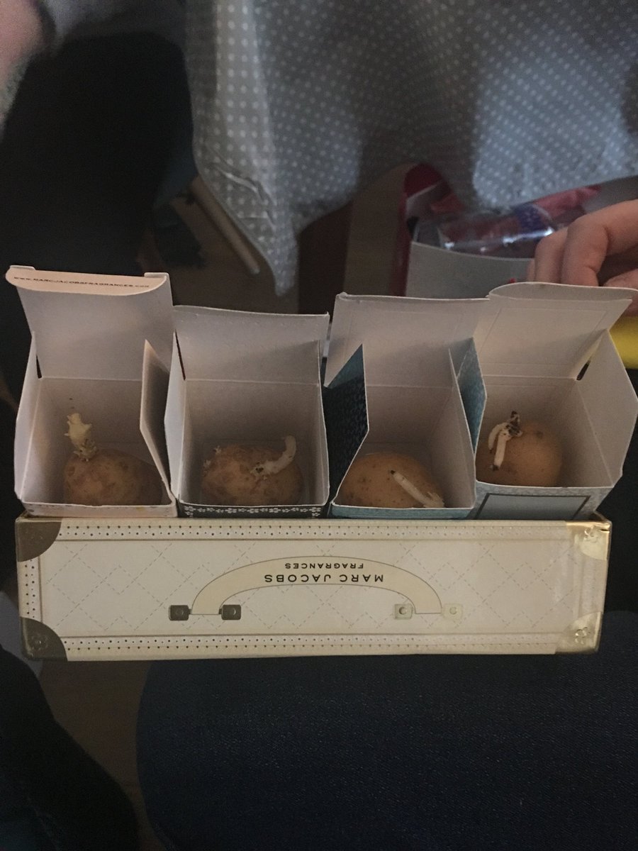 rytimk's tweet photo. @TKMaxx_UK expect a visit tomorrow at your Dunstable store. This is inexcusable £32 down the drain https://t.co/ybwsCiinUD