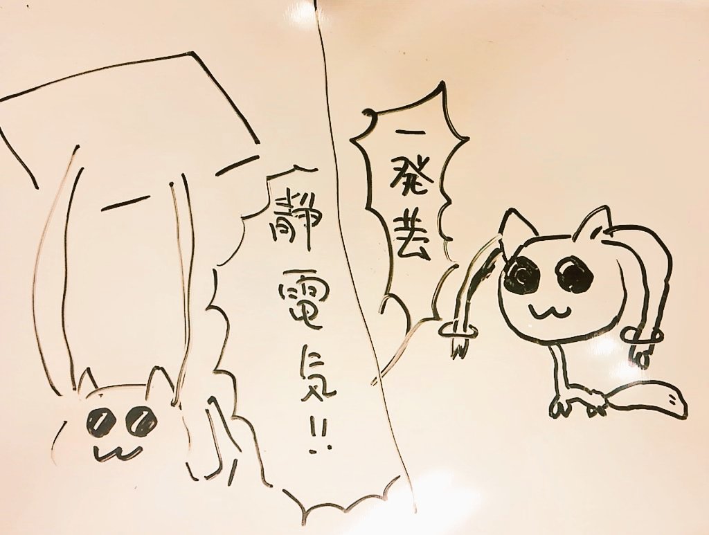 ストレートアライ Hashtag On Twitter