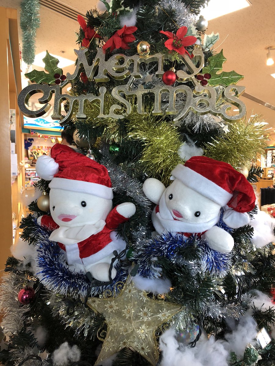 Nori 皆さん メリークリスマス 先日 名古屋港水族館に行ってきたらクリスマス色満載でした クリスマス 水族館 ニモ 名古屋港水族館 リース ペンギン