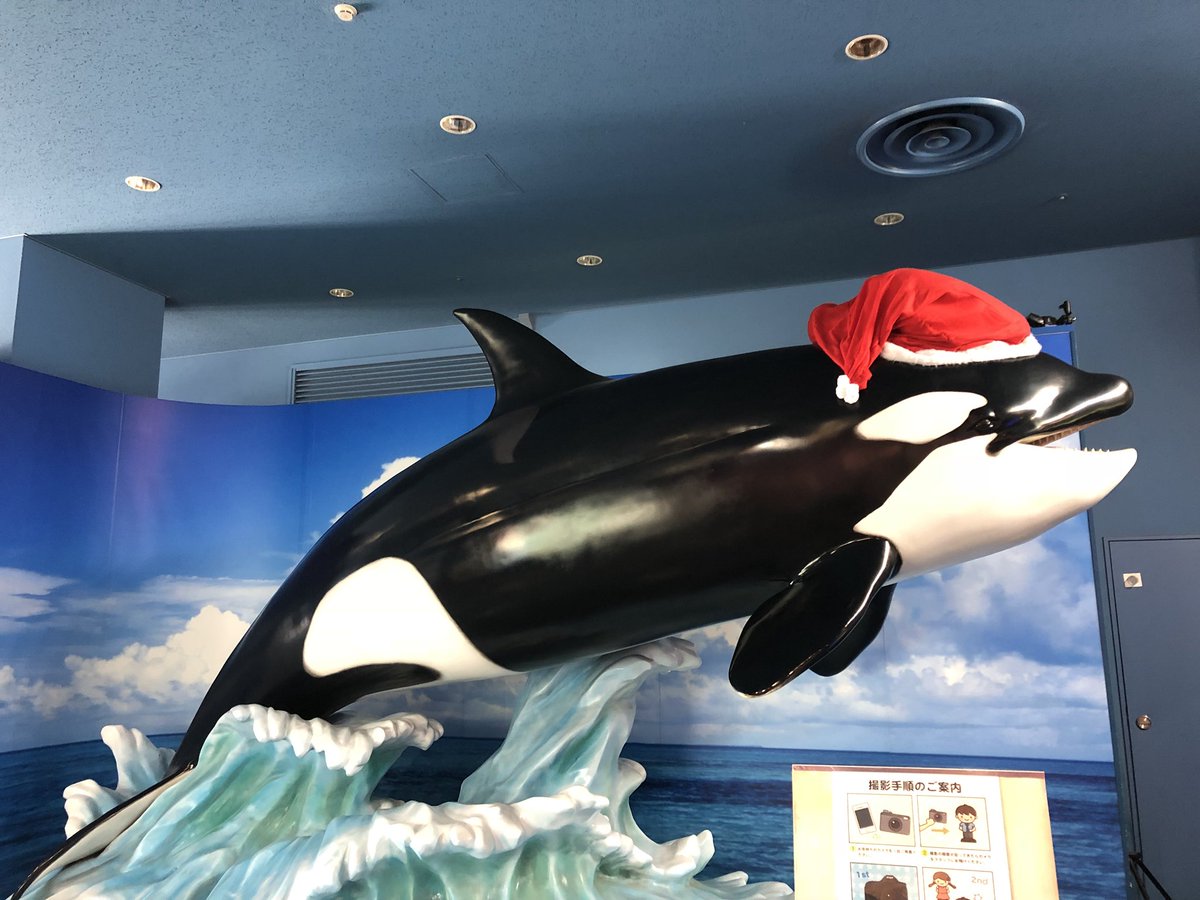 Nori 皆さん メリークリスマス 先日 名古屋港水族館に行ってきたらクリスマス色満載でした クリスマス 水族館 ニモ 名古屋港水族館 リース ペンギン