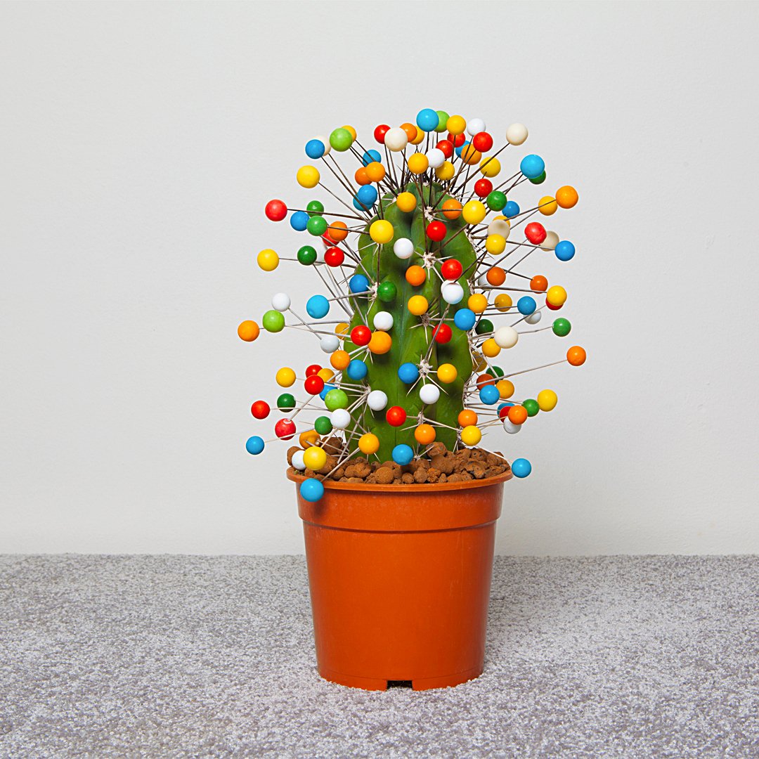 Mrctrhrst's tweet image. This ain't no white Christmas
vimeo.com/196961582

#concept #artdirection #photography #graphicdesign 
#sculpture #3d #3dart #rotterdam #christmas #globalwarming
#MerryChristmas #MerryXmas #type-b #rotterdam