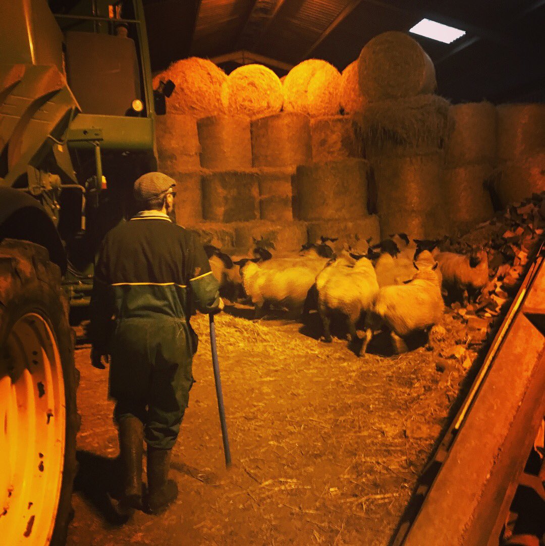 JennyArnot's tweet photo. Home sweet home for Christmas in Scotland #HomeForChristmas #familyfun #prebreakfastfarming https://t.co/8slmuW3bFS
