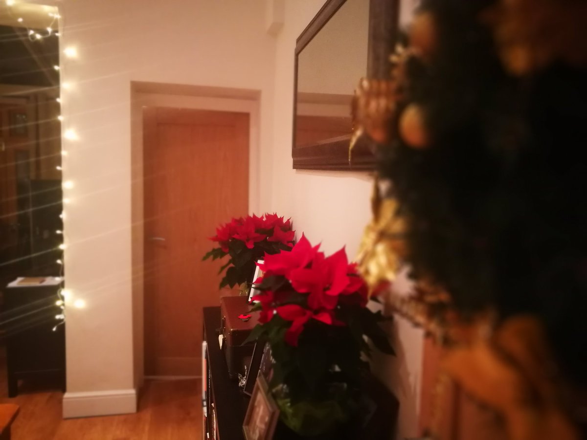 MoSieons1's tweet photo. Merry Christmas from my Family to Yours! https://t.co/9MwhknRI9J