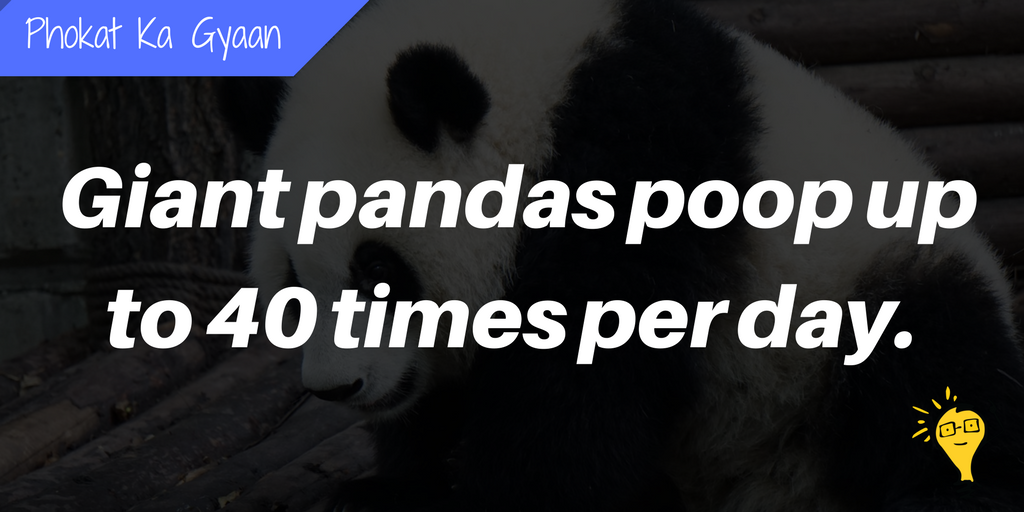 BEINGiShMART's tweet photo. #DidYouKnow 
#Phokat_ka_Gyaan #Fact #Facts #349 https://t.co/r5C3jIOWbl