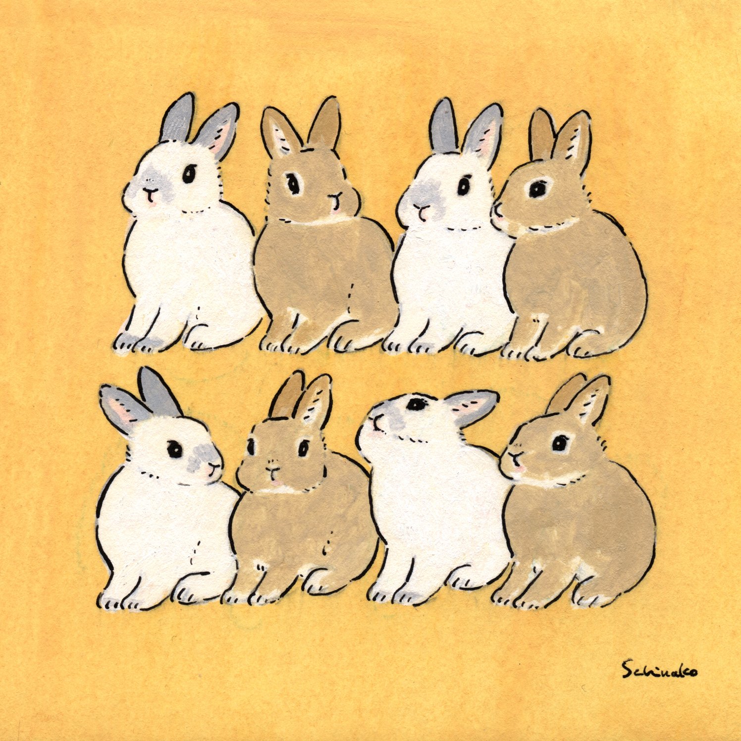Twitter 上的 Schinako Moriyama Illustrator ネザーランドドワーフさんたち 来年は絶対ネザーばかりのlineスタンプ完成させたい うさぎ イラスト T Co Pla4fa5ocz Twitter