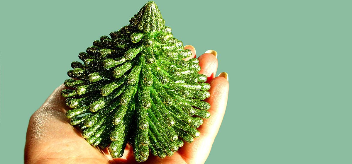 CDL_RecycleIT's tweet photo. Have yourself a sustainable little Christmas
https://t.co/H1MxBP0ISn https://t.co/qB9rUZd3F0