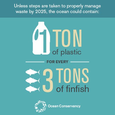 FurqanTahir14's tweet photo. #Plastic waste is a big issue to the #environment &amp; #animals
About 2.5 Million metric tons of solid waste is produced every year,out of which 275 Million metric tons is plastic waste. That's why we designed @_MenuX_ 100% Plastic Free #startup
This is how we care you #doingyourbit https://t.co/7ahxQUAOQW