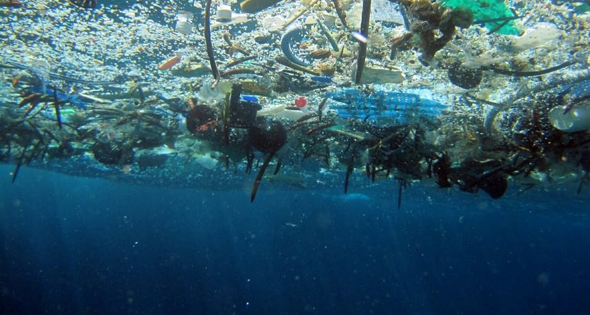 FurqanTahir14's tweet photo. #Plastic waste is a big issue to the #environment &amp; #animals
About 2.5 Million metric tons of solid waste is produced every year,out of which 275 Million metric tons is plastic waste. That's why we designed @_MenuX_ 100% Plastic Free #startup
This is how we care you #doingyourbit https://t.co/7ahxQUAOQW