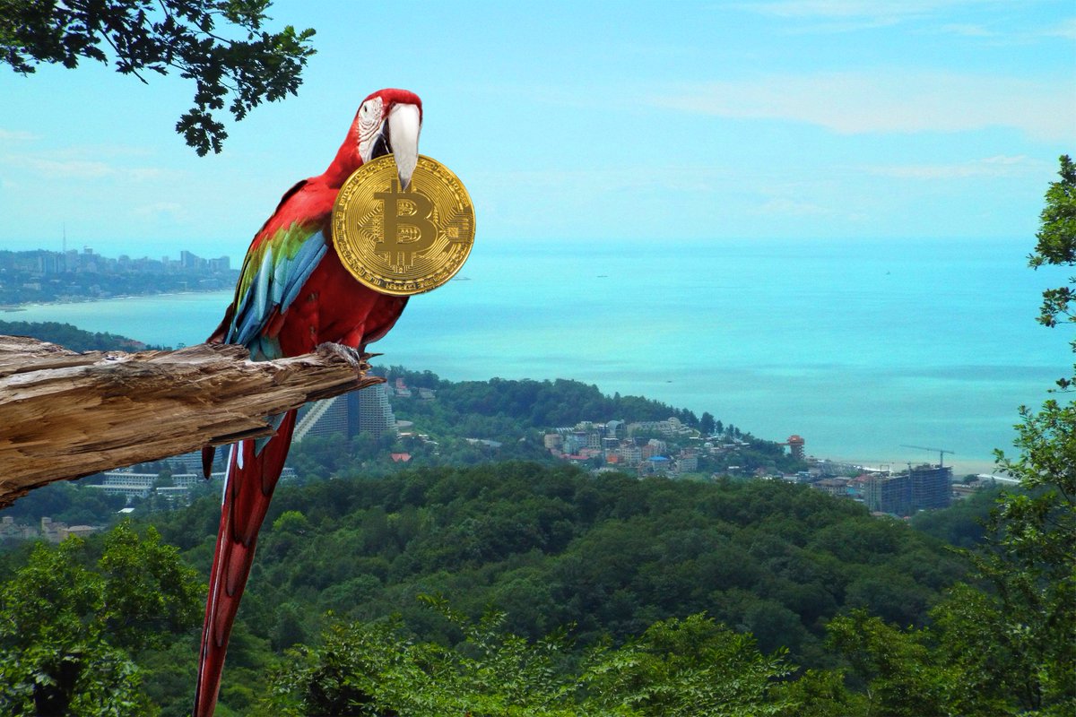 NetworkCurrency's tweet photo. Cheers @YouTube. We are celebrating 1 million views on our channel 🍹🍾
https://t.co/AI1VHxQNx8
#crypto #blockchain #cryptotwitter #cryptocurrency #CryptoCurrencies #CCN #bitcoin #BitcoinCash https://t.co/1caoowdzuO