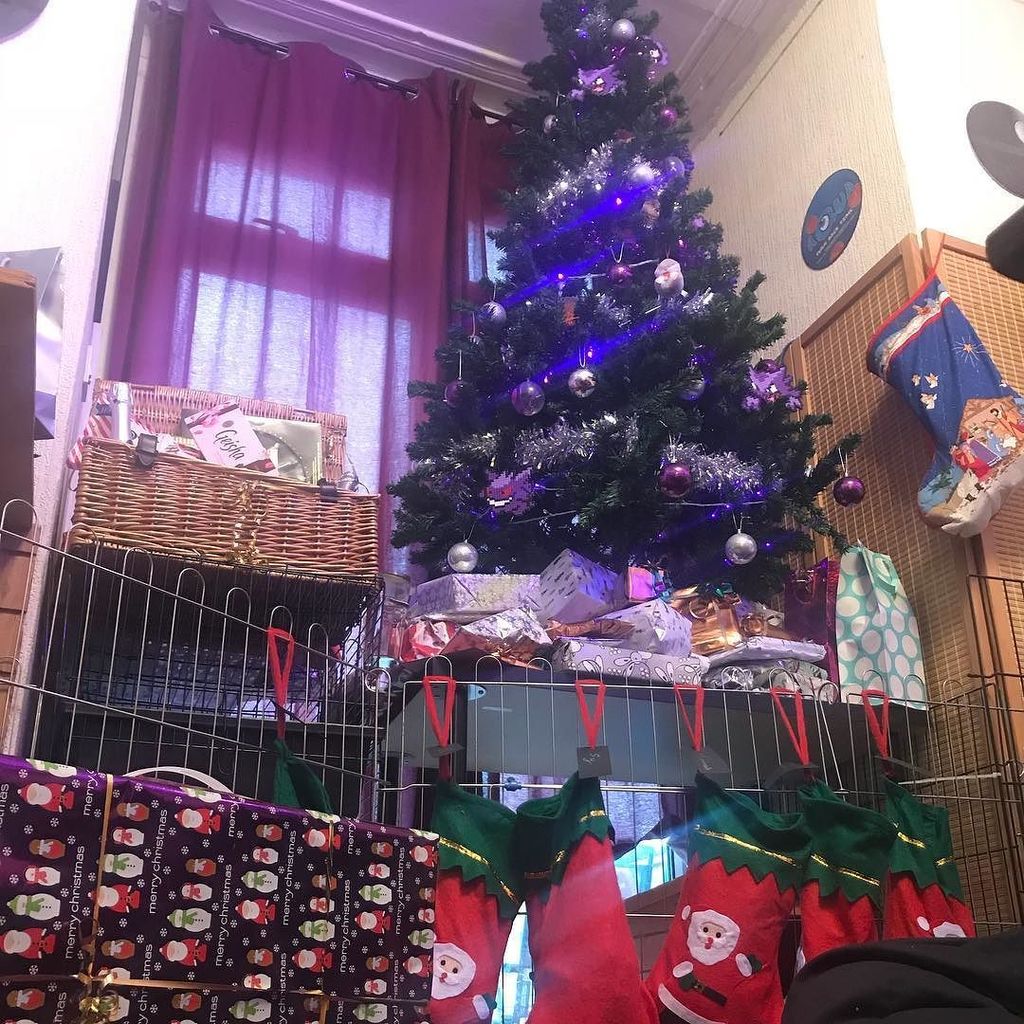 Pentex_SM's tweet photo. Merry Xmas, guys! https://t.co/LxrCJTENsT https://t.co/OHugKvJAMJ