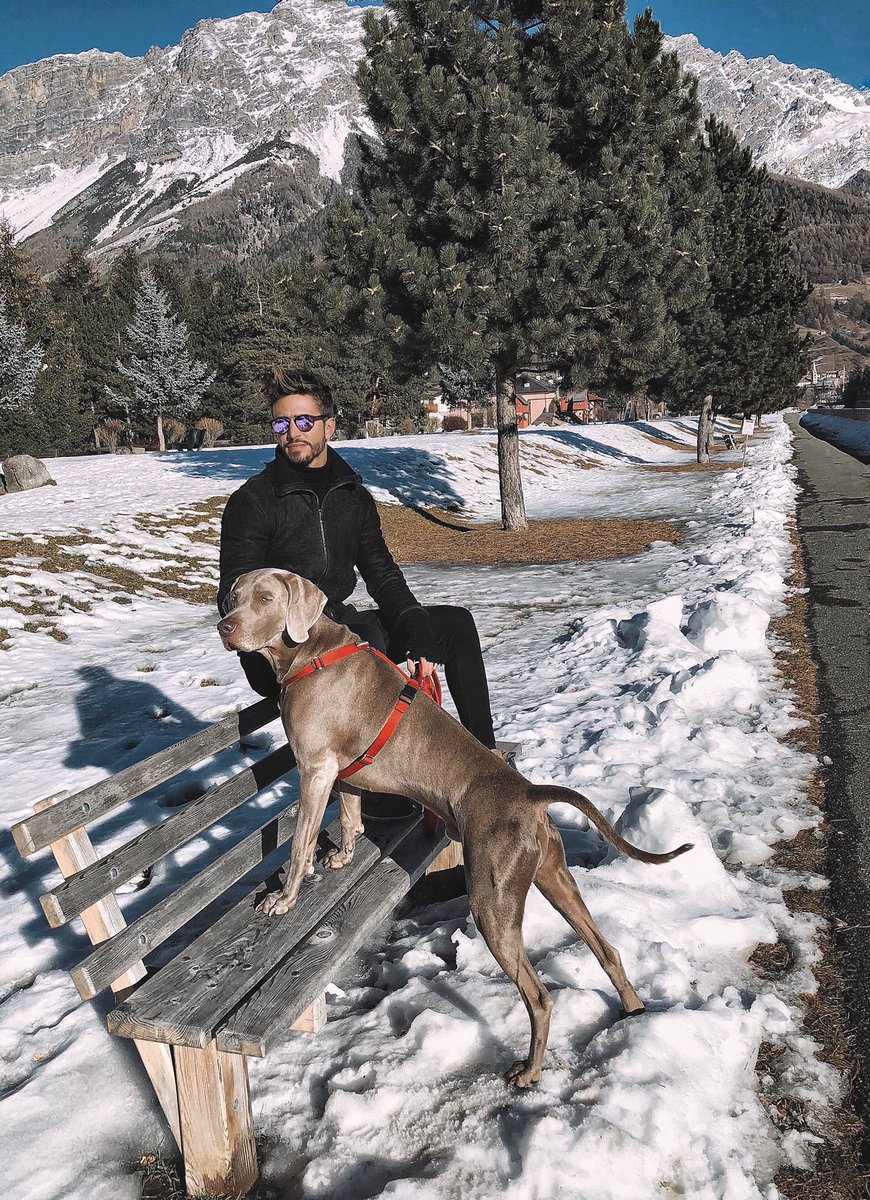 marcoferritv's tweet photo. Natale da cani 🐕❄️😄 #ioesam #bormio2017 https://t.co/05HfGKD3Ux