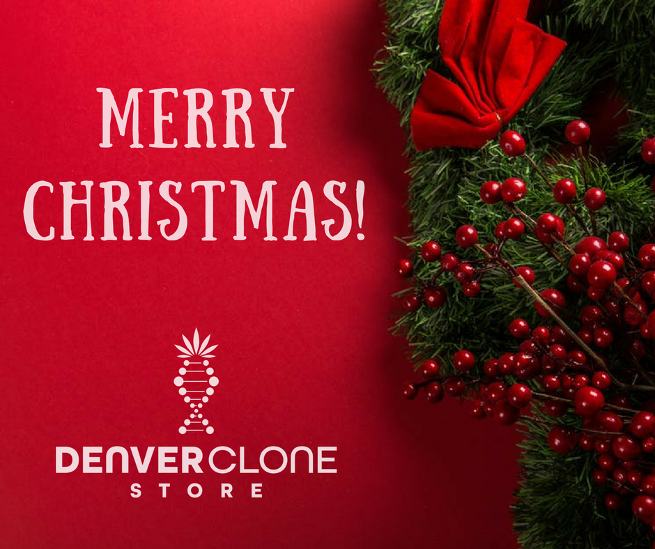 DNVRclonestore's tweet photo. Merry Christmas and Happy Holiday wishes from everyone here at the Denver Clone Store family! #HappyHolidays https://t.co/XUzv98jUJw