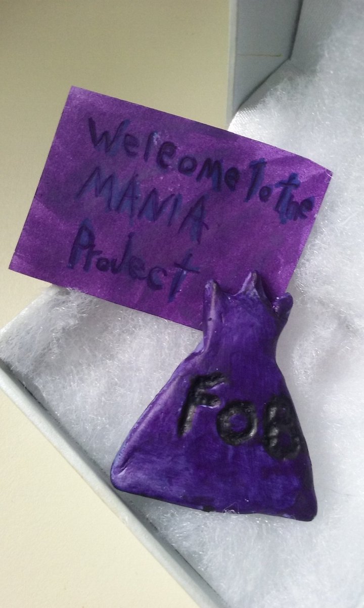 AccidentallyEmo's tweet photo. My little sister gave me the coolest Christmas present to remember last months show!💜😭 https://t.co/8ykbGWeWfe